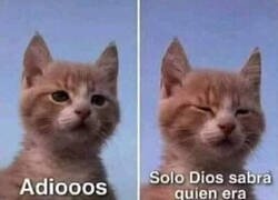 Enlace a Mal de la vista