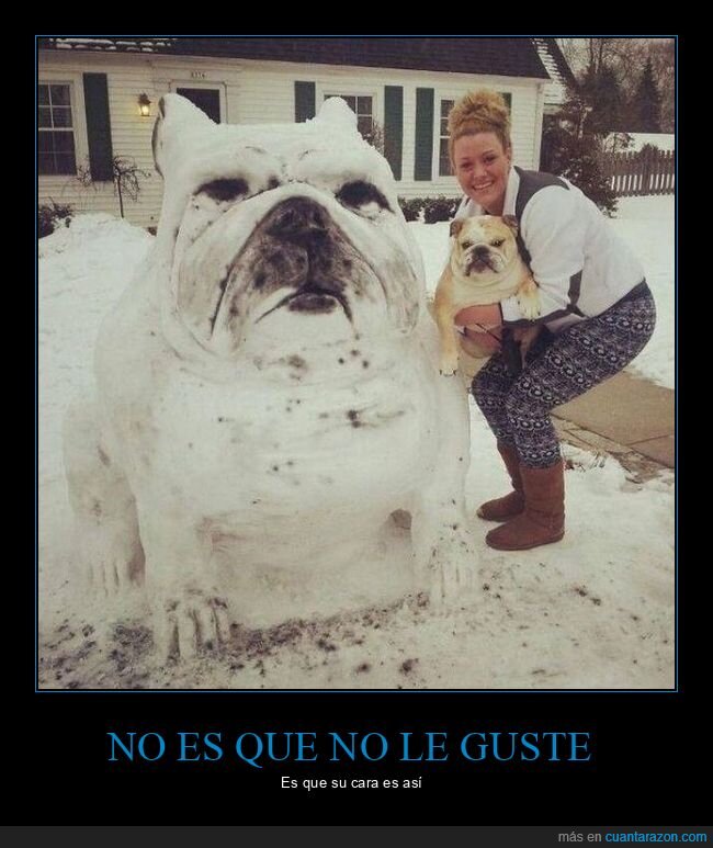 perro,muñeco de nieve