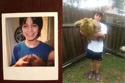 Enlace a Ha crecido más de lo esperado