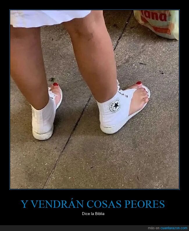 wtf,zapatillas