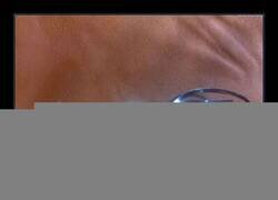 Enlace a El cubierto más inútil