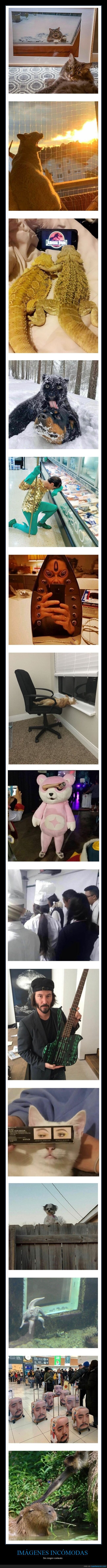 imágenes incómodas,contexto