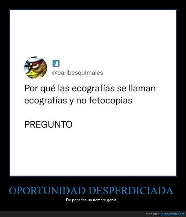 ecografías,fetocopias