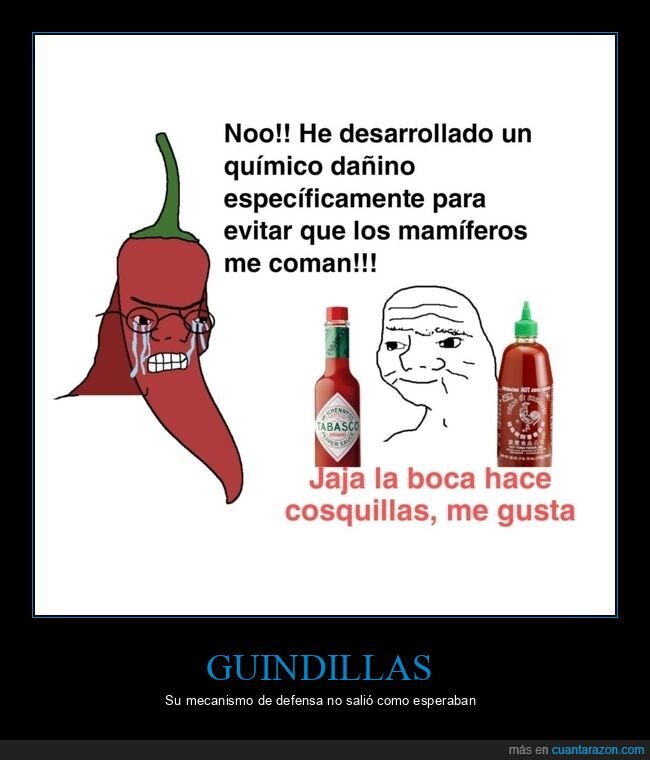 guindilla,picante,tabasco