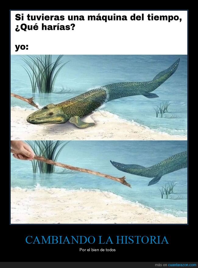 máquina del tiempo,pez,agua