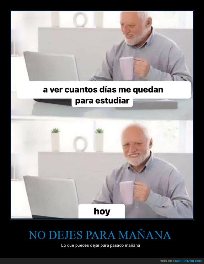 días,estudiar,hide the pain harold