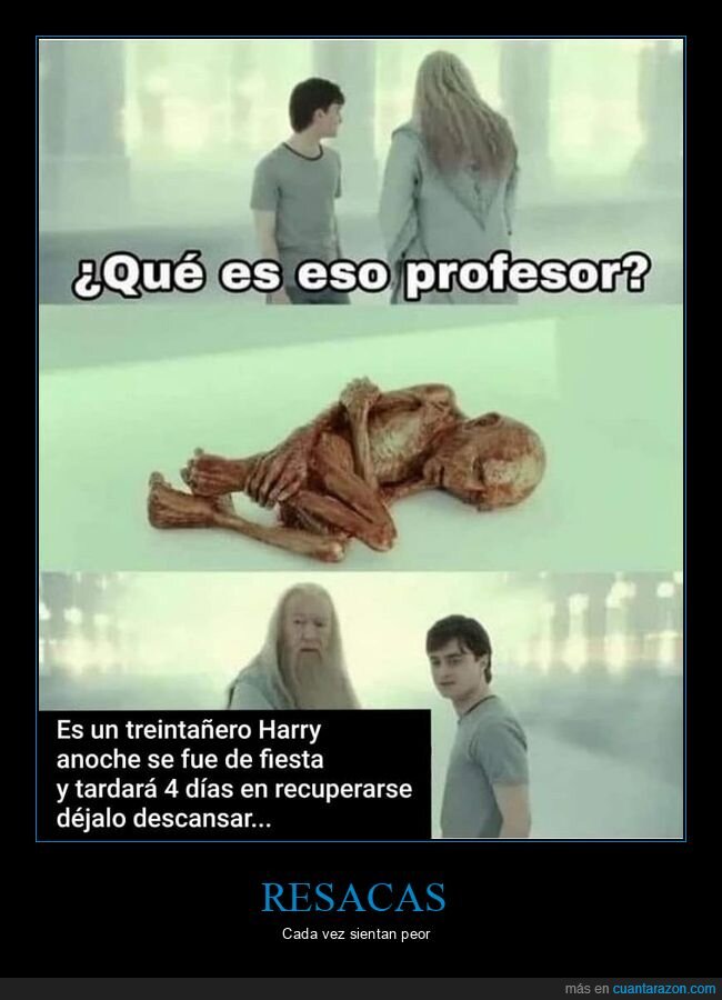 harry potter,voldemort,treintañero,fiesta,recuperarse