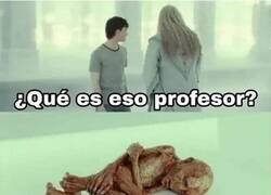 Enlace a Una criatura que está sufriendo