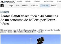 Enlace a Mientras tanto en Oriente Medio...