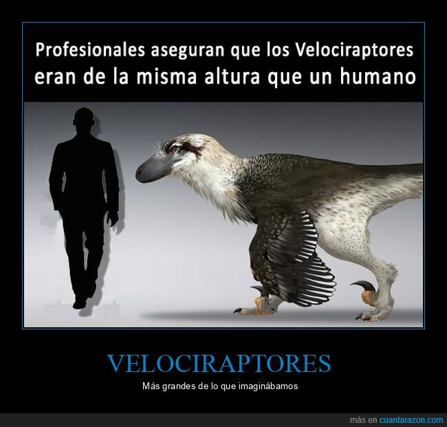 velociraptores,grandes,tamaño,curiosidades
