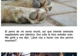 Enlace a Chistes brutales para quienes les gusta el humor negro