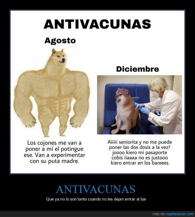 antivacunas,doge y cheems,agosto,diciembre