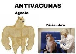 Enlace a Antivacunas pero no mucho
