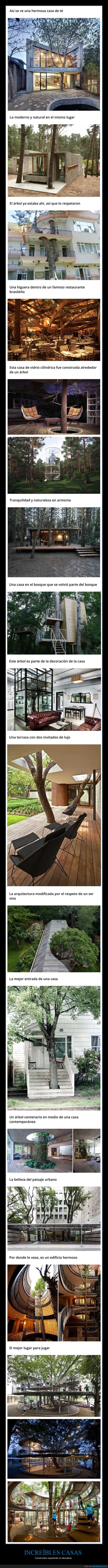 casas,respetando,naturaleza