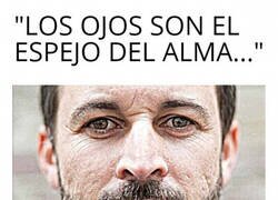 Enlace a Miradas que lo dicen todo