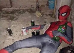 Enlace a Estúpido y borracho Spiderman...
