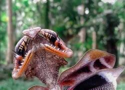 Enlace a Se nota que entrena