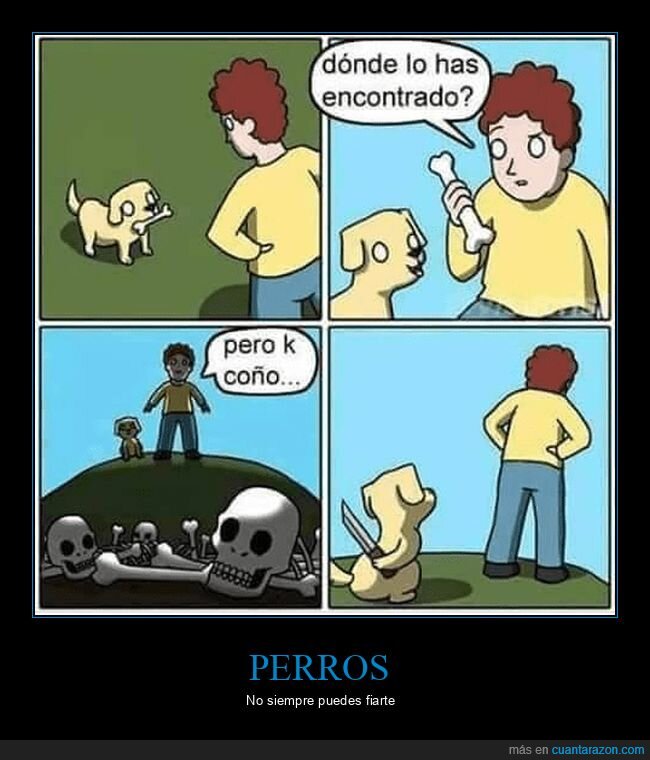 hueso,perros