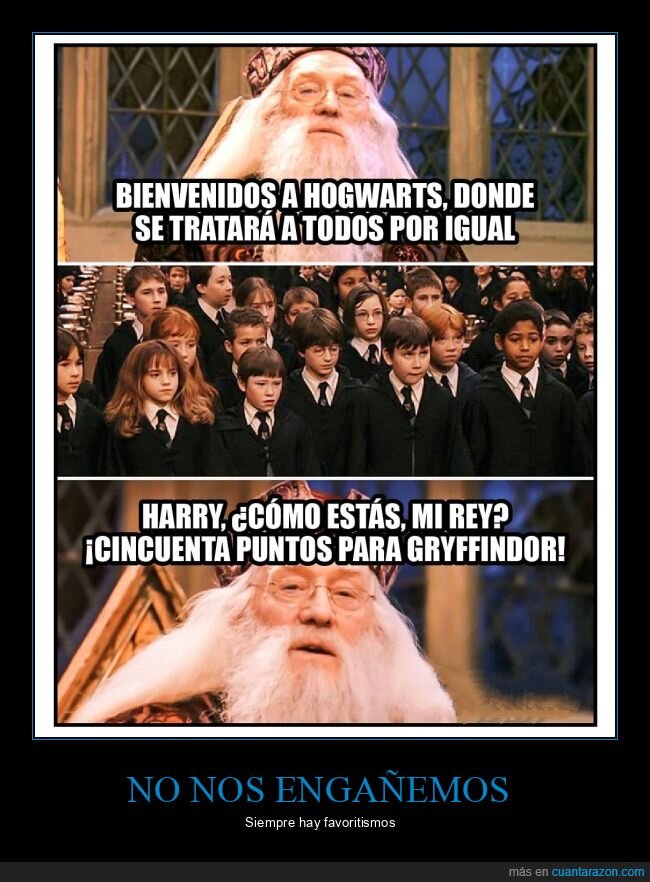 favoritismos,harry potter,howgarts,dumbledore