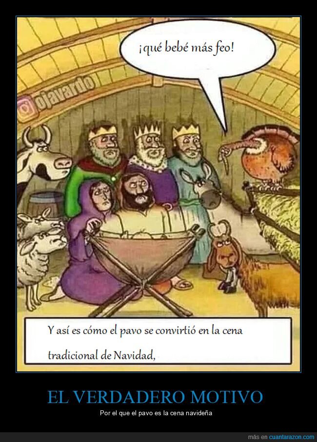navidad,pavo,bebé,feo