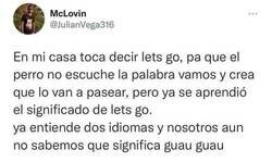 Enlace a Perro políglota