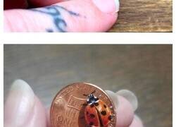 Enlace a Diminutas pinturas al óleo sobre monedas