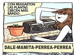 Enlace a Truco para hacer crecer a las plantas