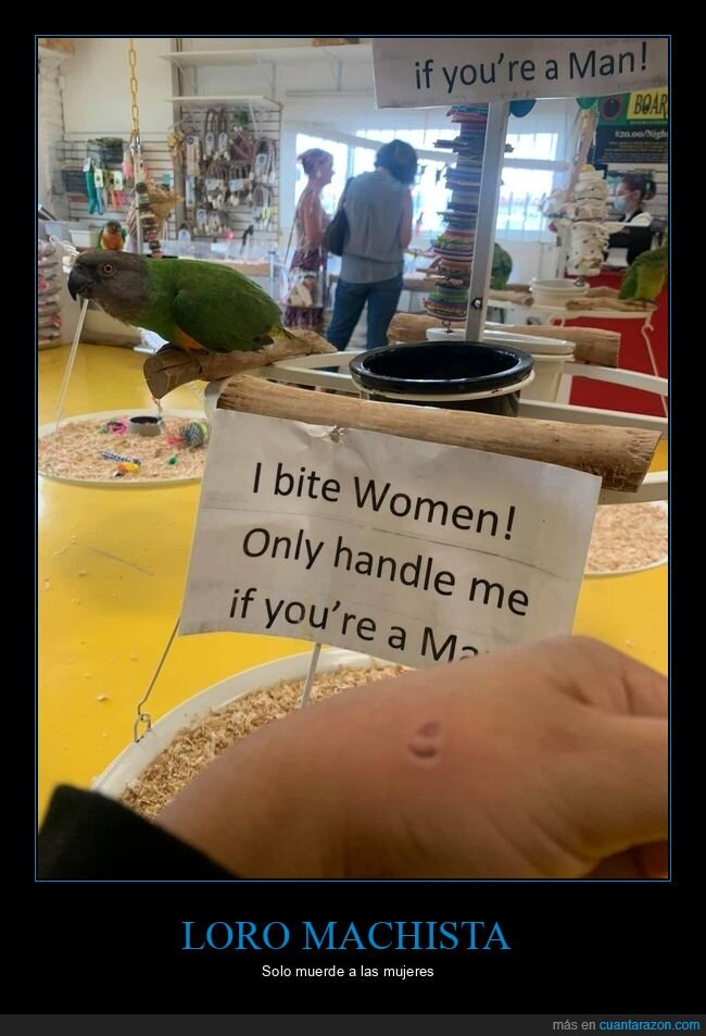 loro,morder,carteles,mujeres