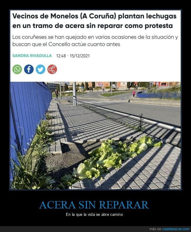 lechugas,acera,sin reparar