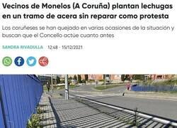 Enlace a Protesta verde