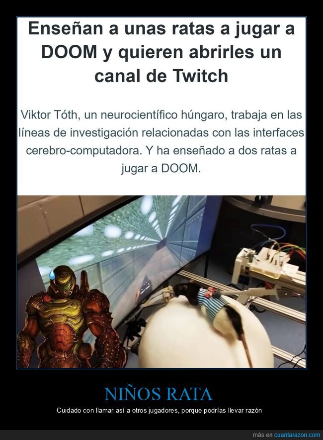 enseñar,ratas,jugar,doom