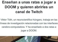 Enlace a Ratas gamers