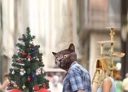 Enlace a Es inevitable