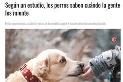 Enlace a No sé yo...