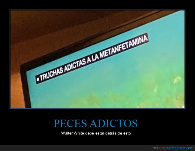 adictas,metanfetamina,truchas