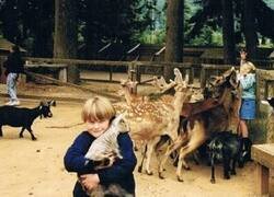 Enlace a Un don con los animales