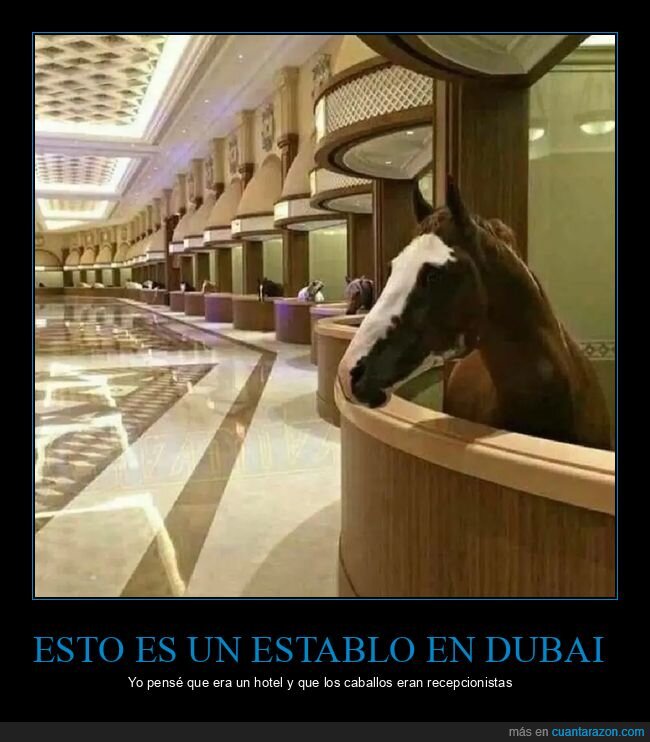 caballos,dubai,establo,hotel,recepcionistas