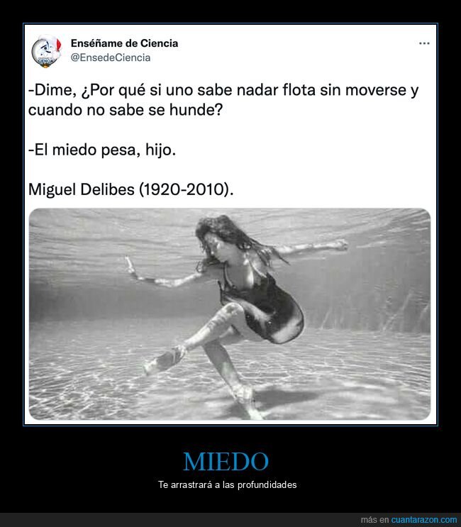 miguel delibes,nadar,flotar,hundirse,miedo