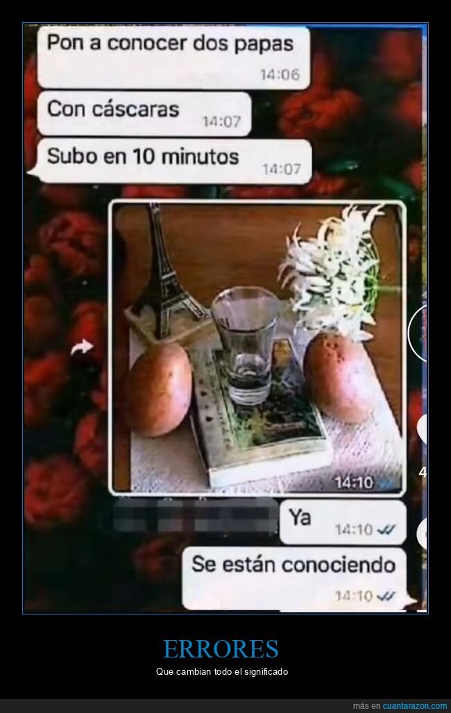 cocer,conocer,patatas,whatsapp