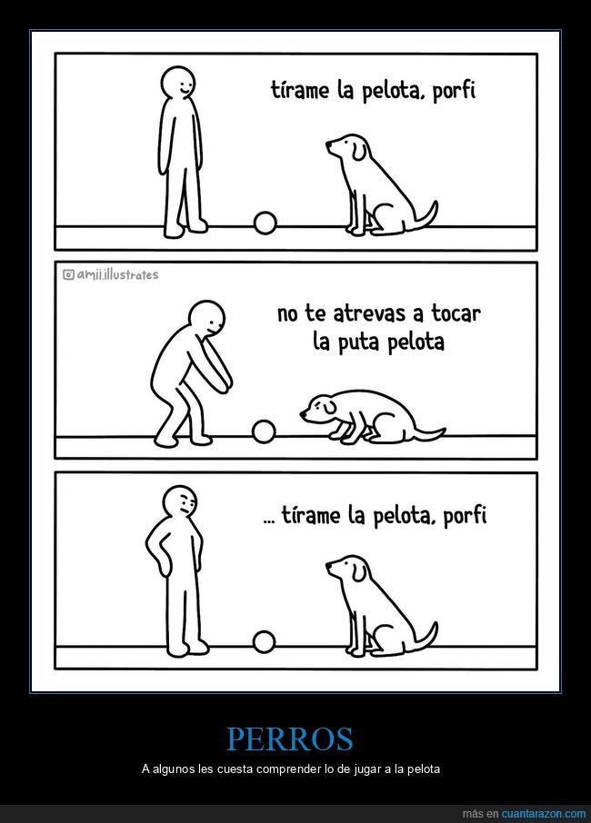 perro,jugar,pelota,tirar,tocar