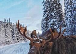 Enlace a BUENOS DÍAS