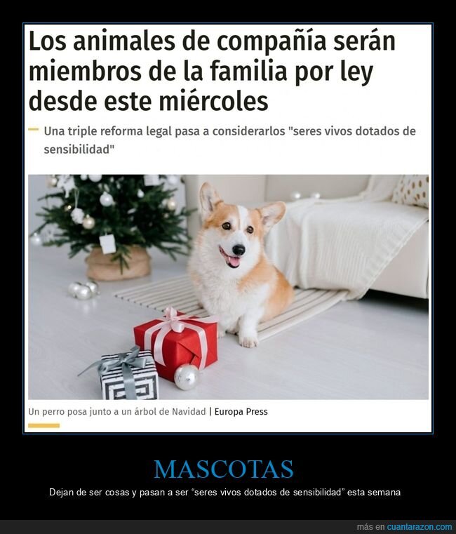 animales,mascotas,familia