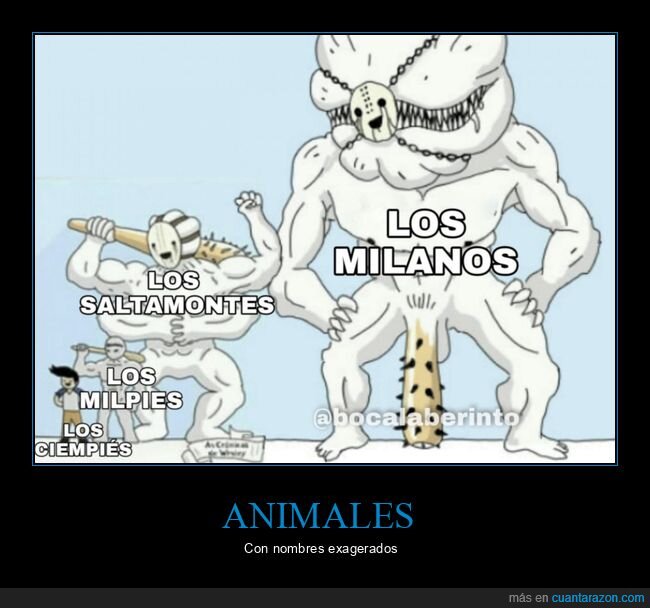 animales,nombres,exagerados