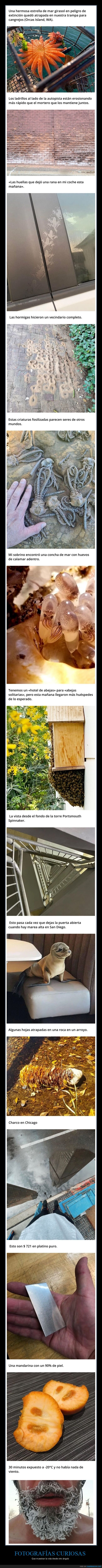 fotografías curiosas,vida,otro ángulo