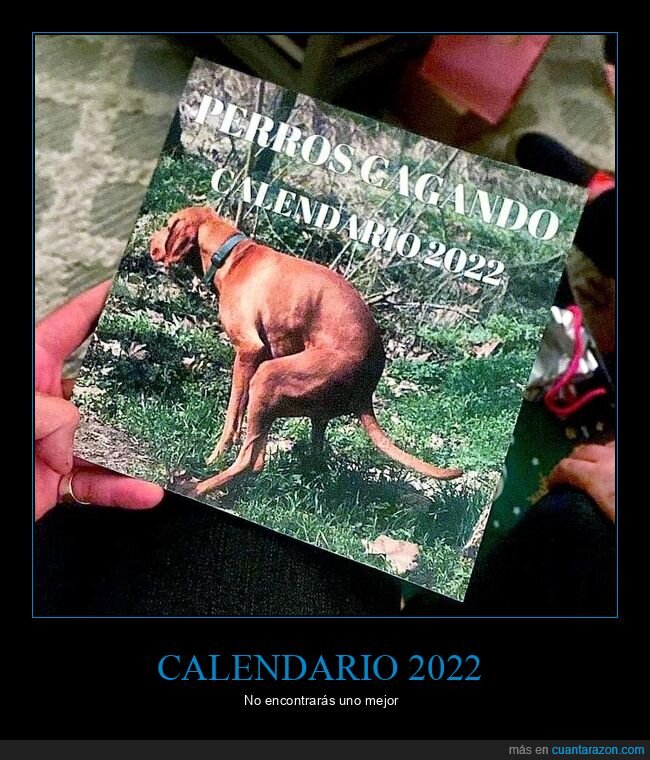 cagando,calendario,perros,wtf