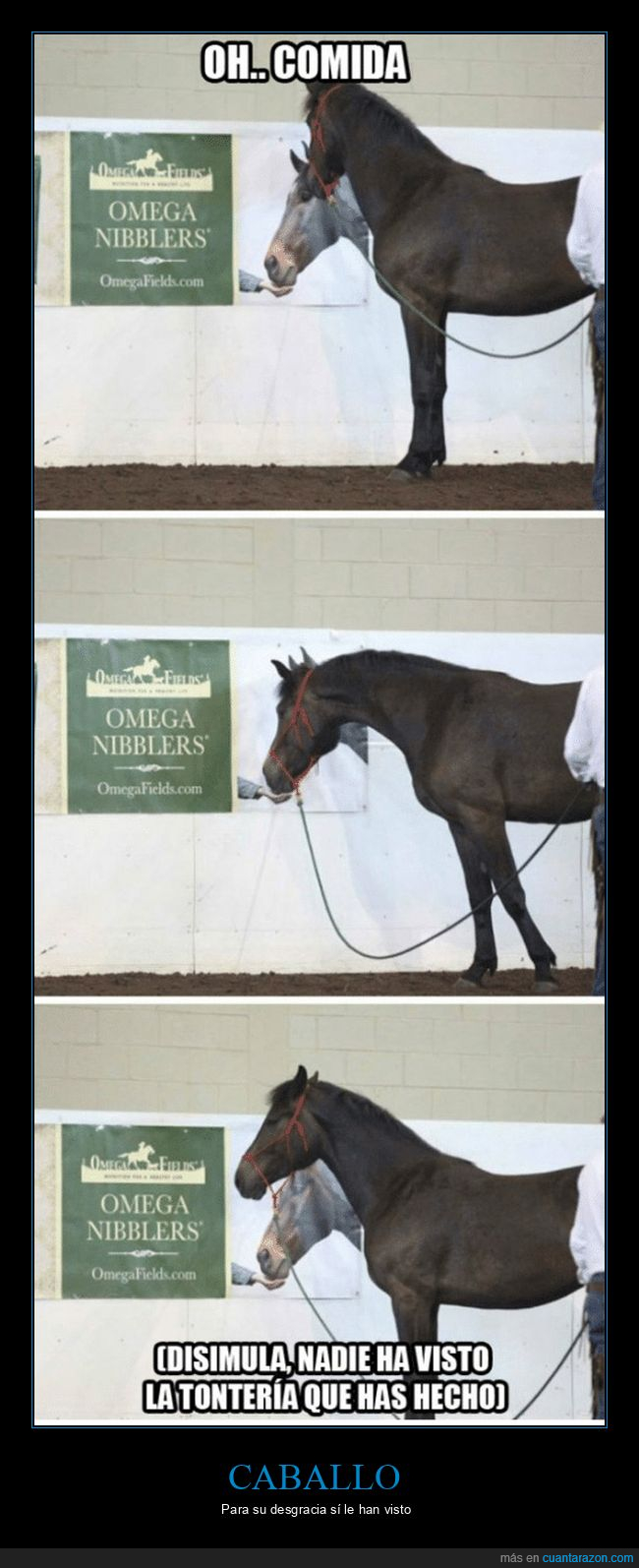 caballo,carteles,comida,fails