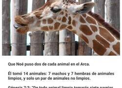 Enlace a Cosas que la gente cree que están en la Biblia cuando, en realidad, no es así