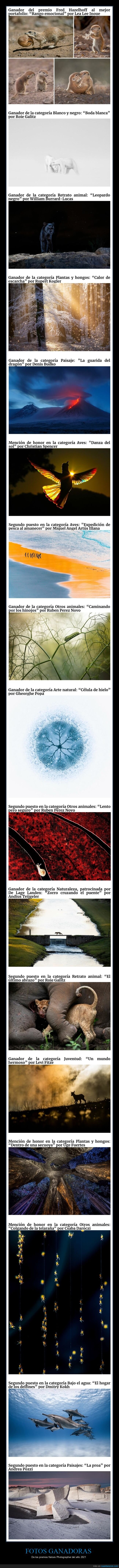 fotografía,premios,naturaleza