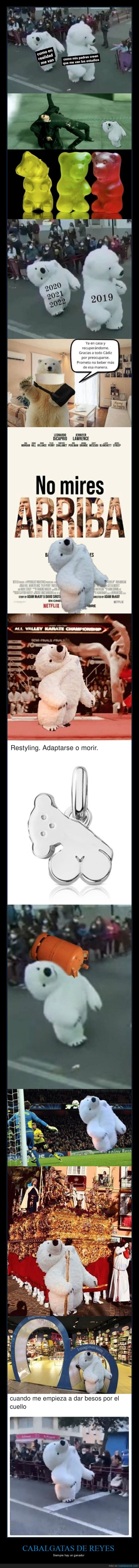 oso polar,disfraz,cadiz,gabalgata,reyes magos