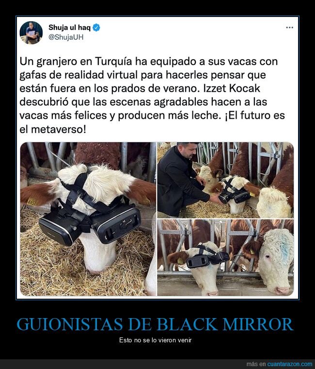 realidad virtual,vacas,wtf